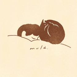 mulaさんアイコン